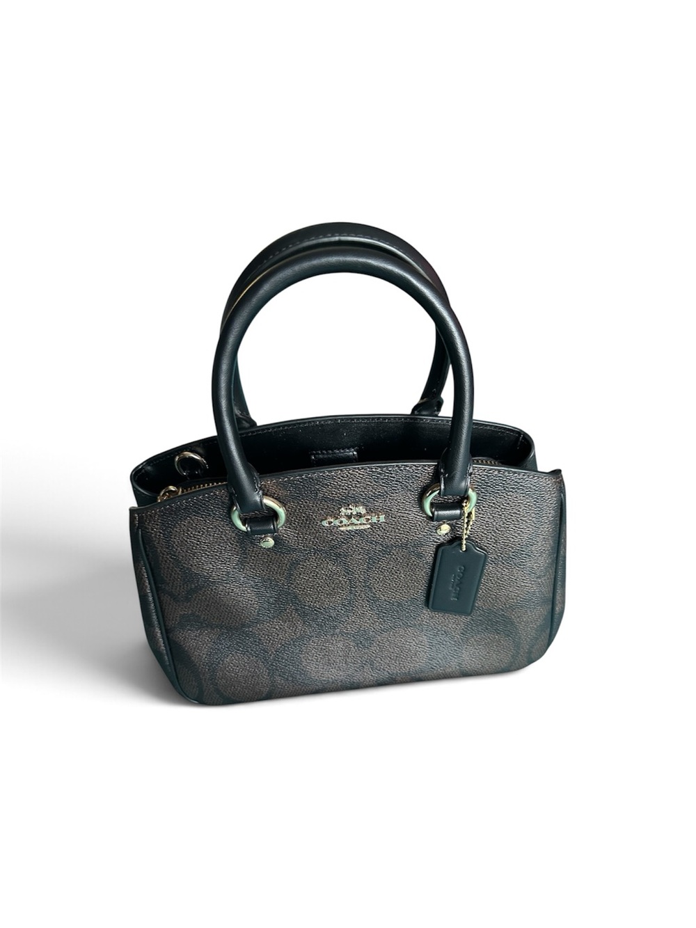 New🔥 Coach Signature Small Savanna carryall in Brown/Black